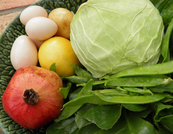 vegetables_ITS.png